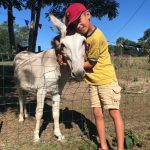 un calin entre un enfant et un âne